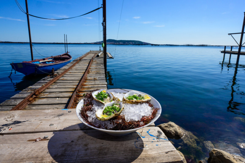 Muscheln und Krustentiere