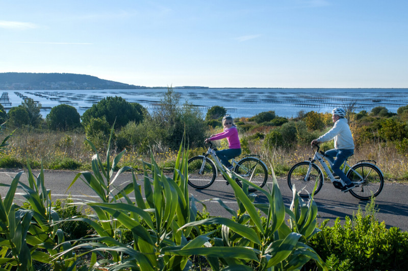 Les itinéraires cyclables dans l'Archipel de Thau