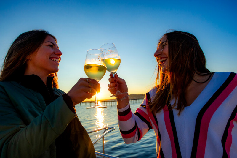 Vino y viticultura