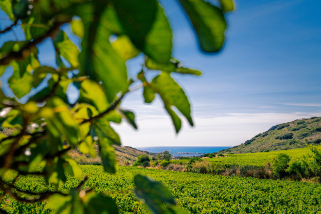 L'Archipel de Thau labellisé Green Destinations