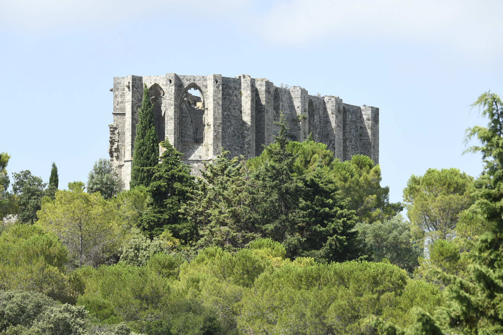 -DSC2081Abbaye-St-Felix-de-Monceau-Gigean-2018-Luc-Jennepin