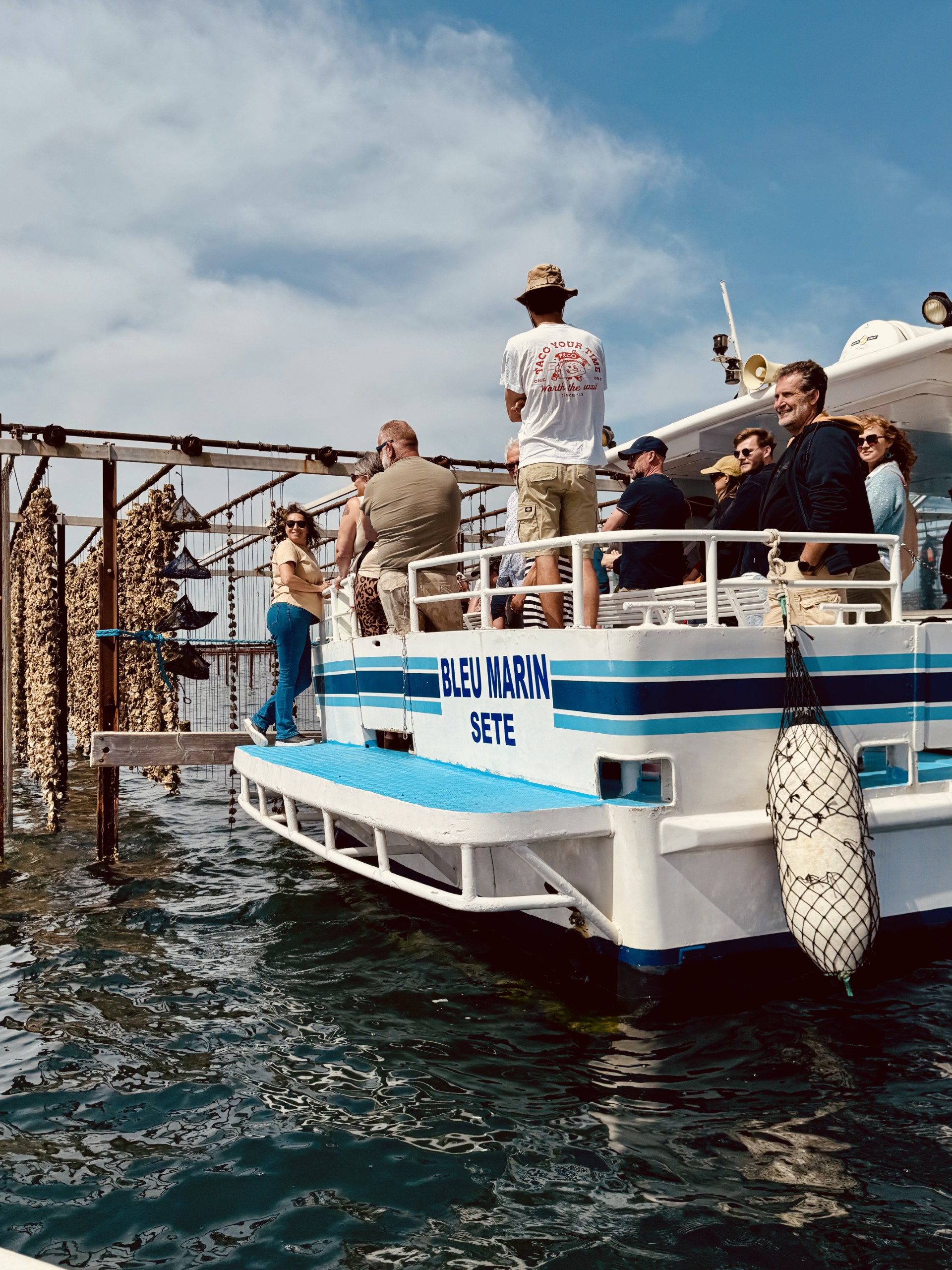 Bleu Marin accosté sur la table pédagogique