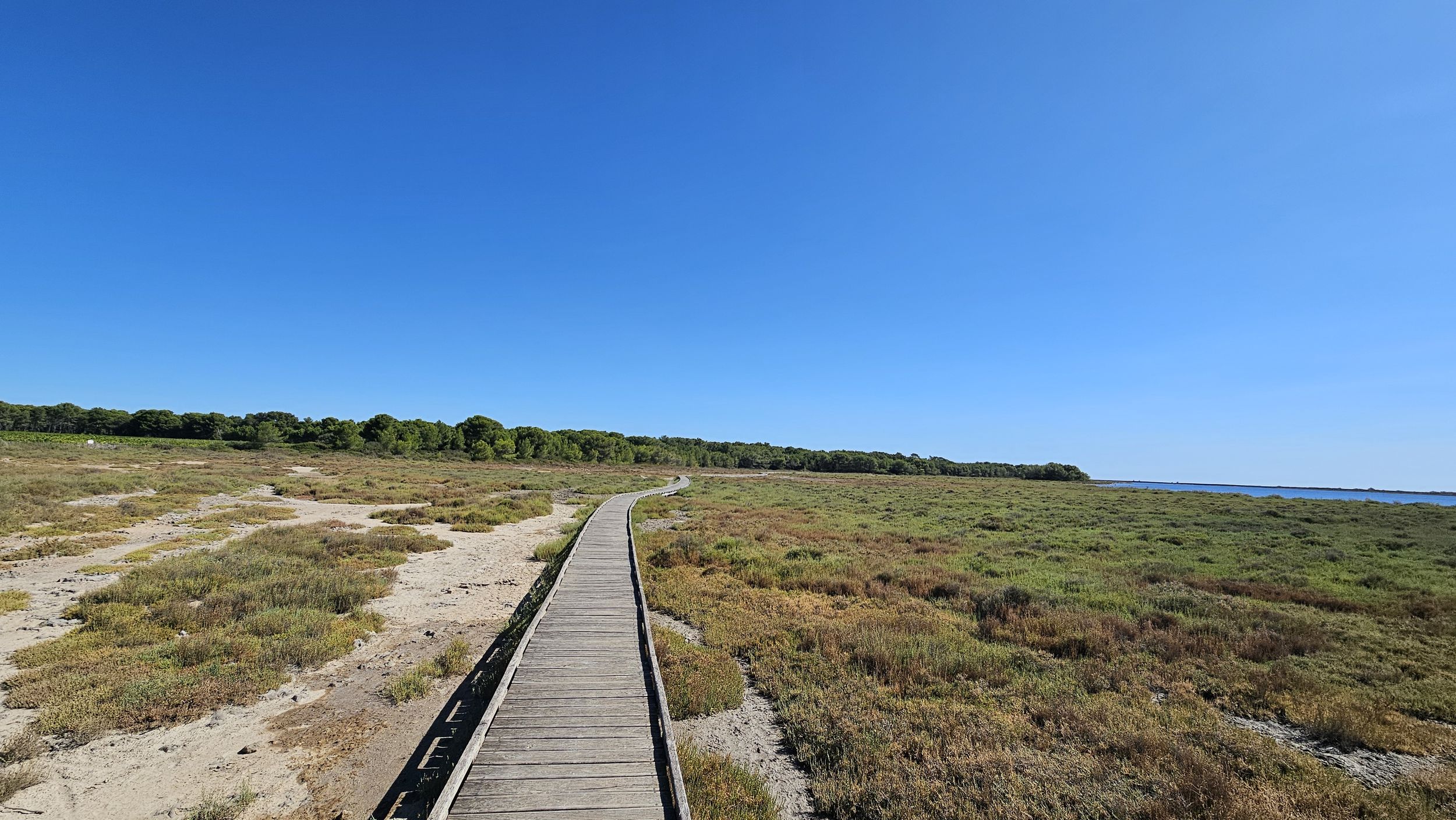 CYCLOFY BALARUC LE VIEUX