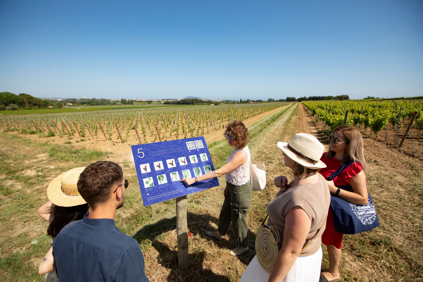 DOMAINE SAINT ANDRE MARSEILLAN (5)