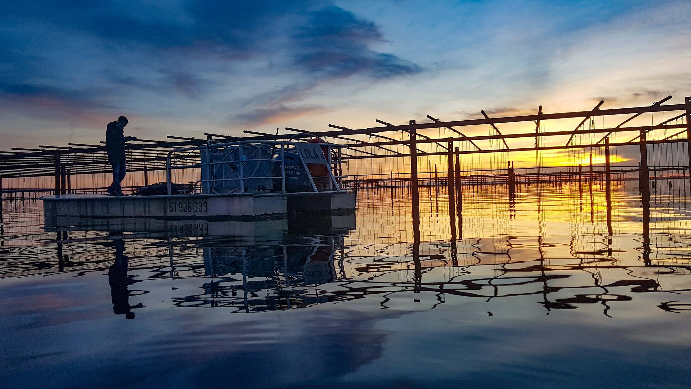 Le Cercle des Huitres