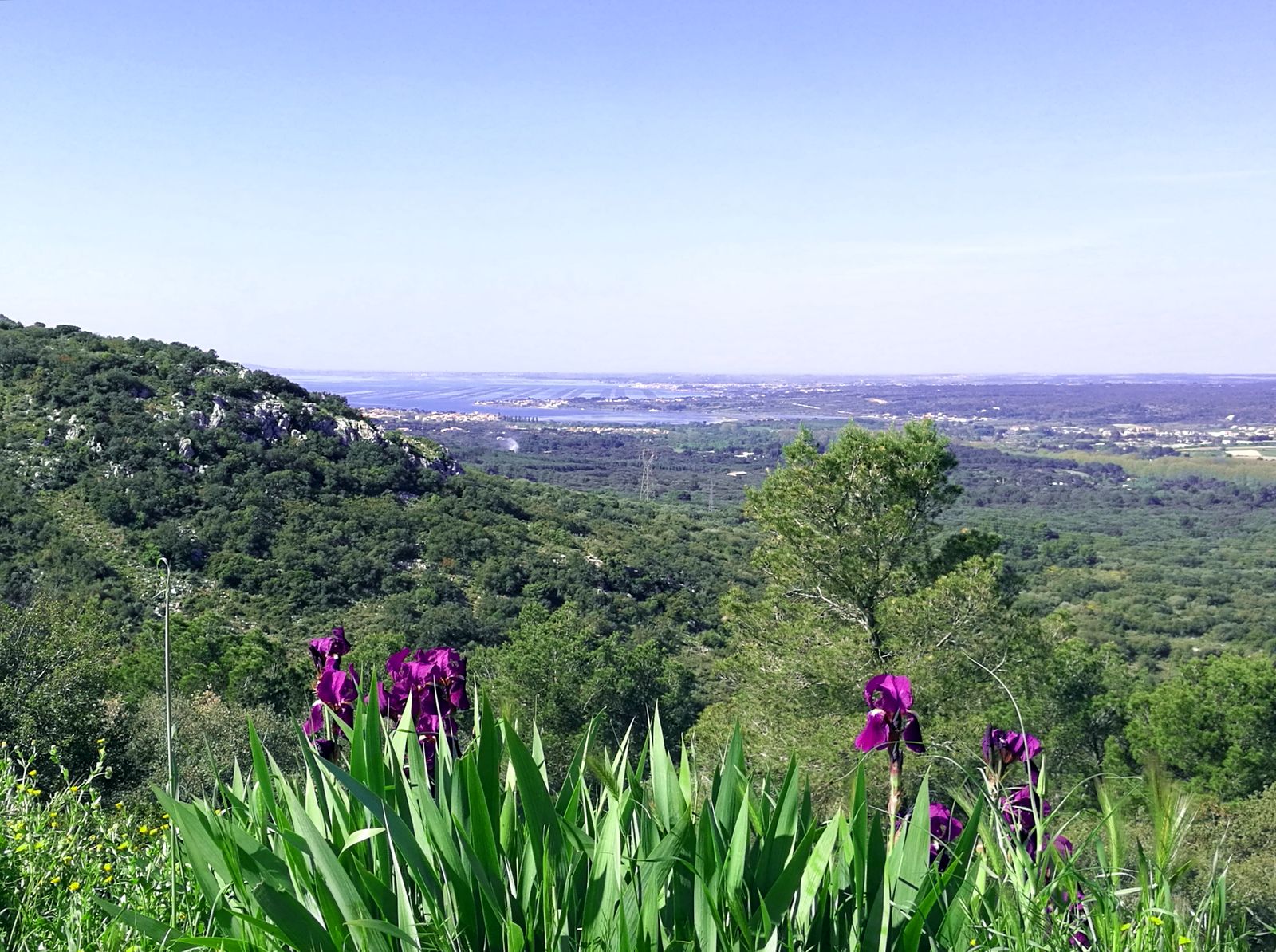 Rando autour de l_abbaye 1 - Gilles Delerue