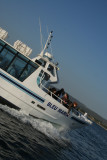 Bleu Marin Promenade bateau Bouzigues (8)