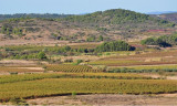 Paysage-reduit