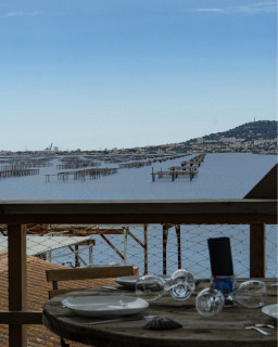 LE CHALET MAS MILLEREAU BOUZIGUES 3