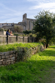 Jardin Méditerranéen