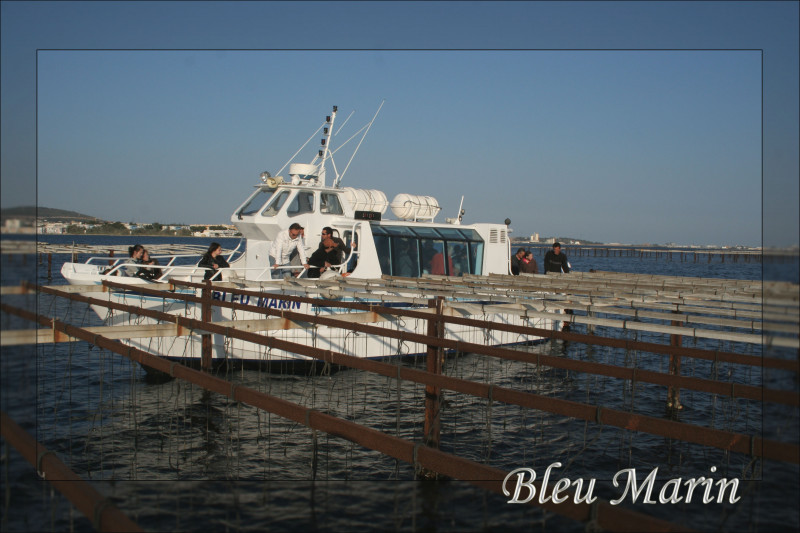 Bleu Marin Promenade bateau Bouzigues (11)