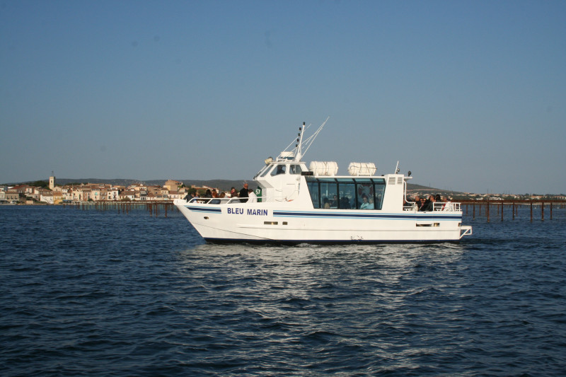 Bleu Marin Promenade bateau Bouzigues (4)