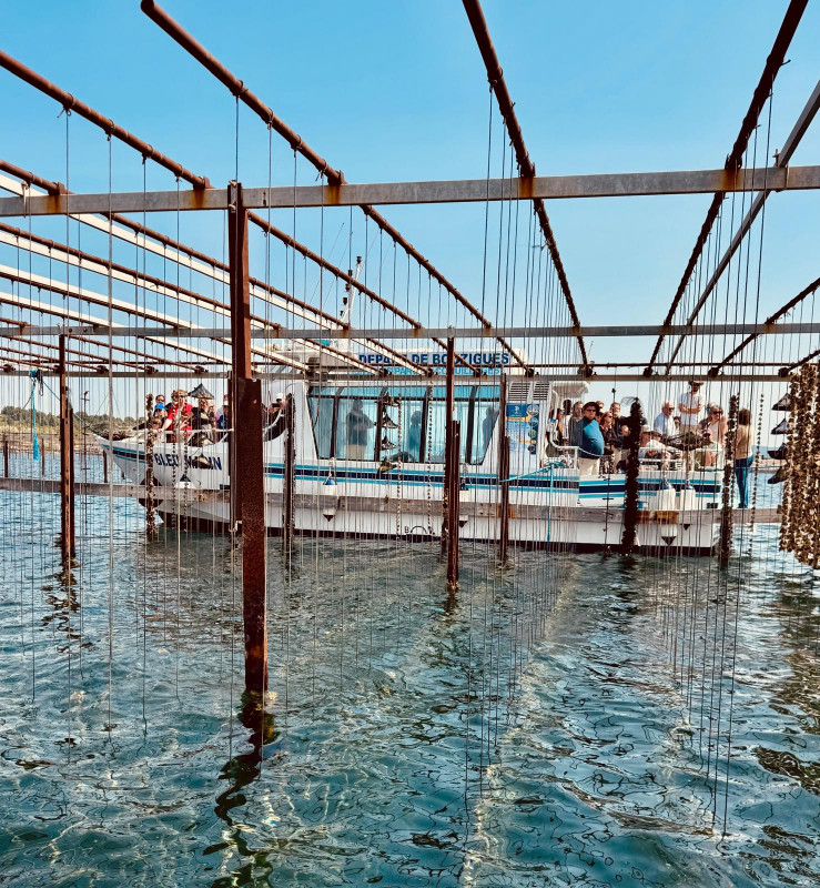 Bleu Marin accosté au parc