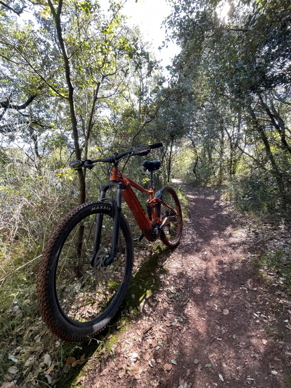 Parcour monotrace technique dans la gardiole de Gigean et Vic la Gardiole