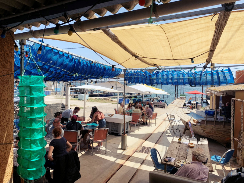 Le Cercle des Huitres