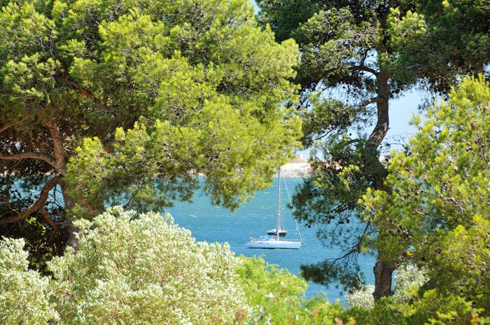 JARDIN ANTIQUE MEDITERRANEEN BALARUC LES BAINS