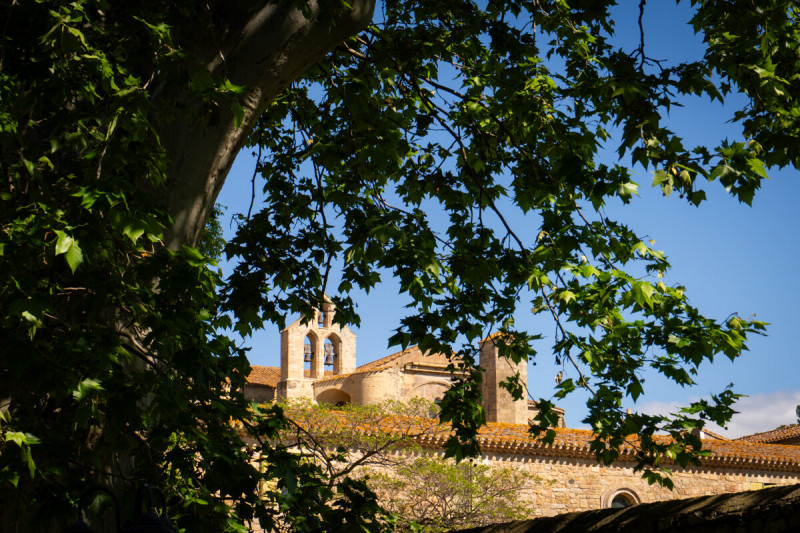 Abbaye Sainte-Marie de Valmagne