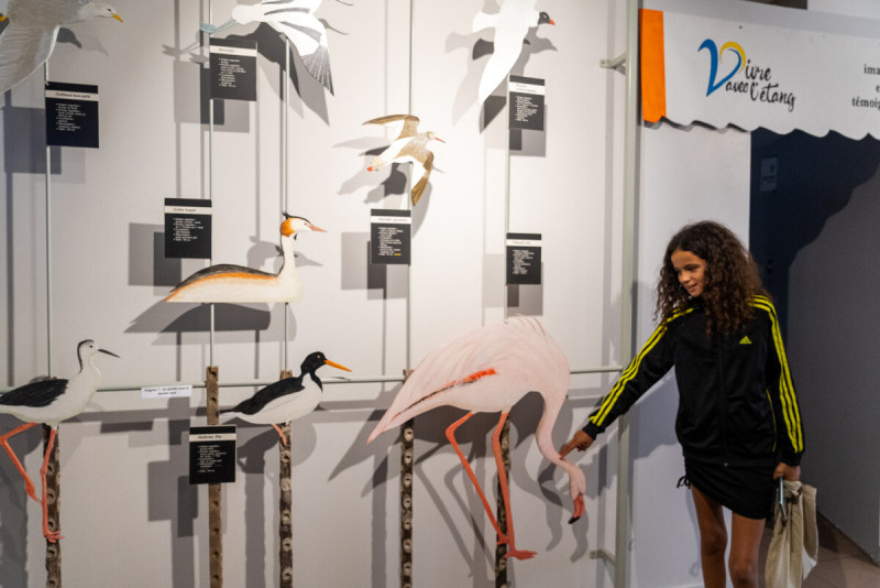 Le_musee_de_l-etang_de_Thau-M_RICARD_OT-THAU-20397-1200px