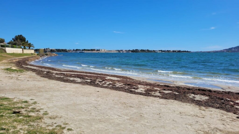 PLAGE DE LA PYRAMIDE BOUZIGUES