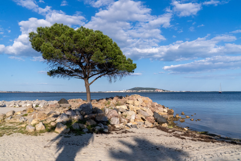 Plage-M_RICARD_OT-THAU-33042-1200px