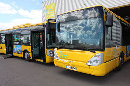 bus-565