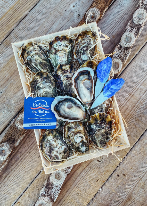 huitres spéciales