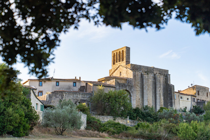 jardin-mediterraneen-montbazin-m-ricard-ot-thau-35117-1200px-352344
