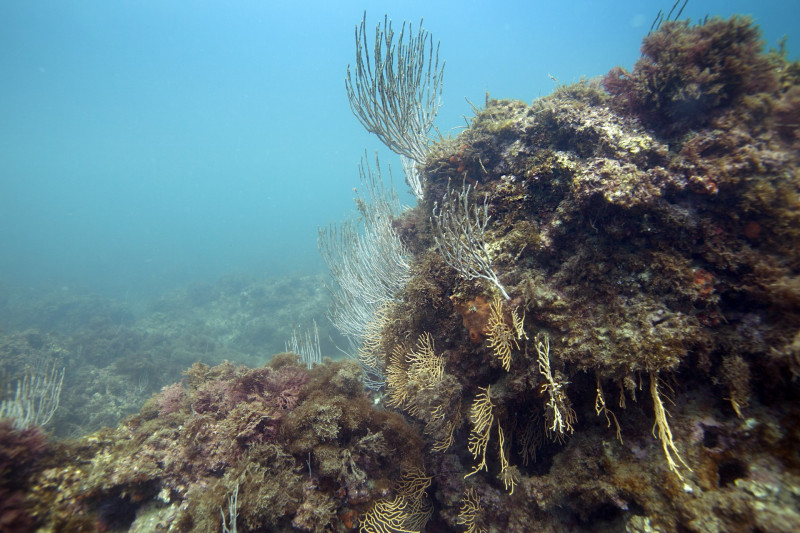 paysage des Aresquiers paysage des Aresquiers