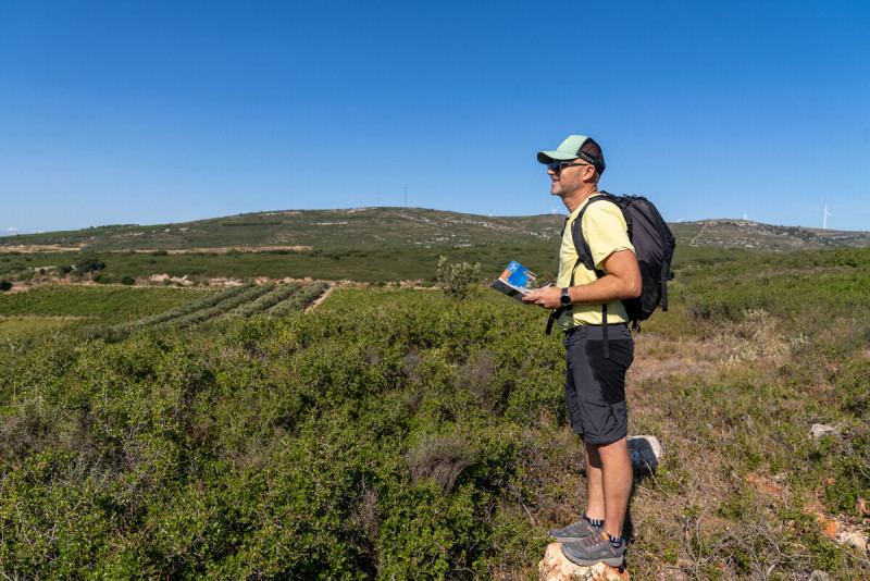 randonnee-montbazin-30699-1200px-352345