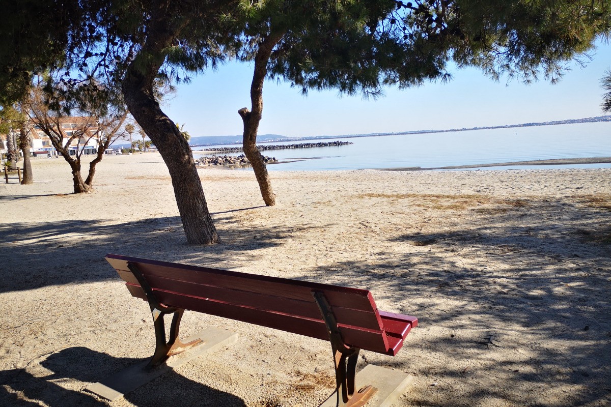 LES PALMIERS A MEZE  ME 168 ***  4 personnes_11