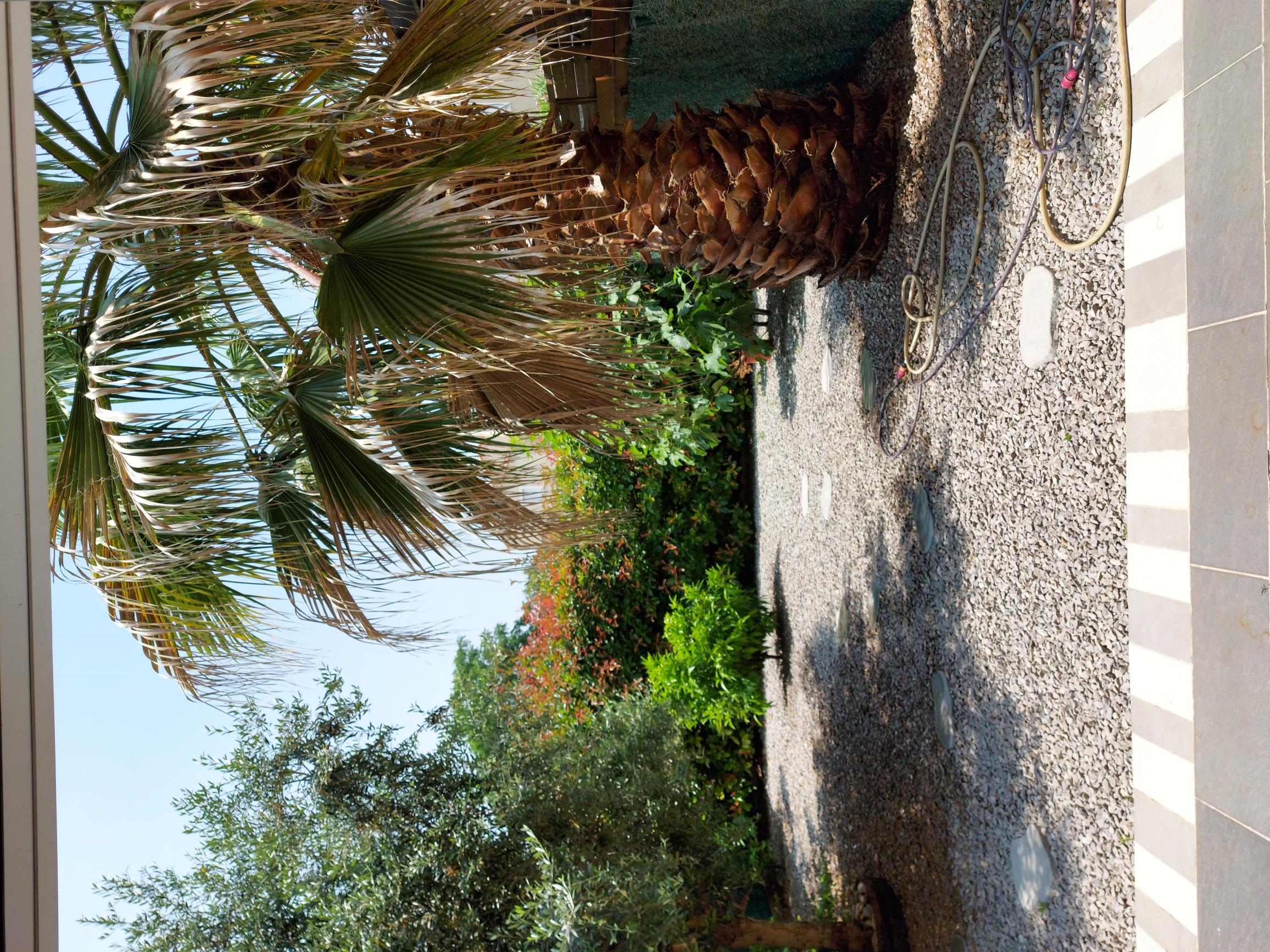 LOCATION BALARUC LE VIEUX LA MAISON COSY COHEN AKNINE DAVID (2)