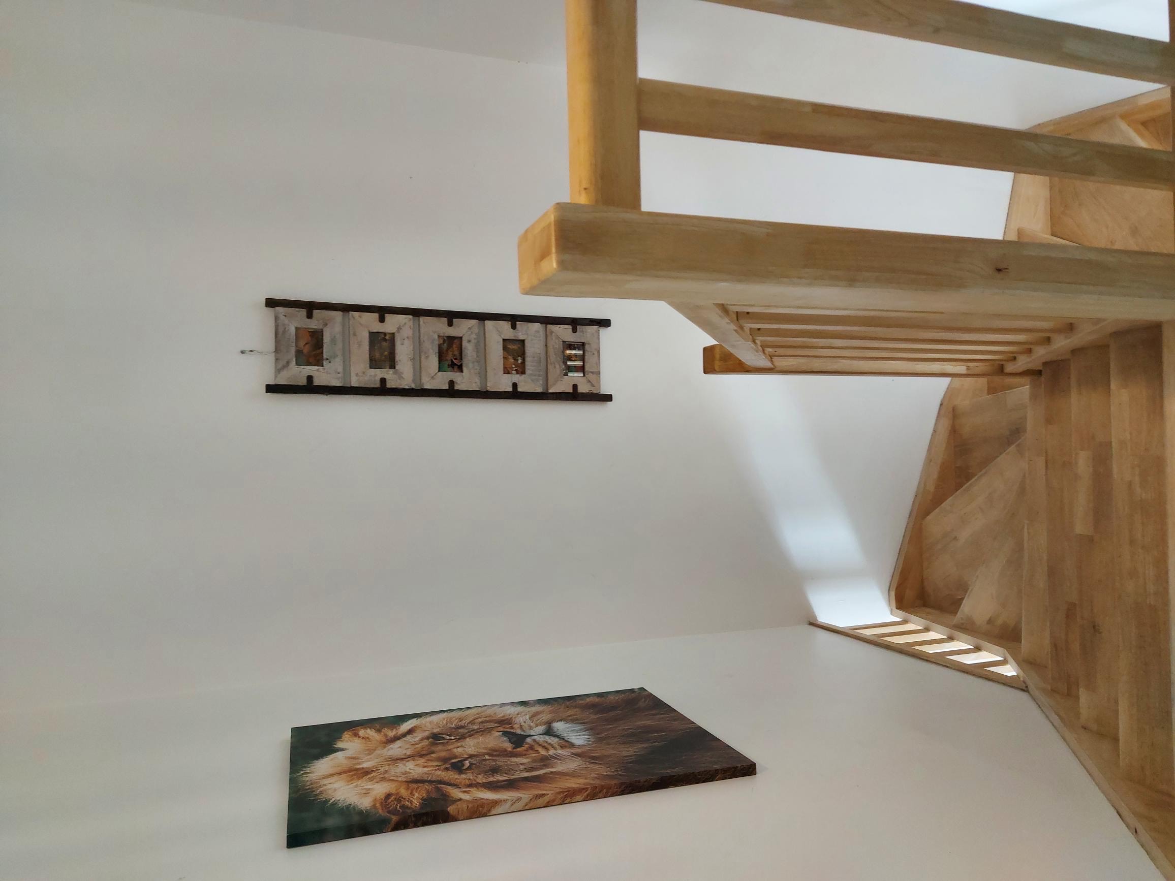 LOCATION BALARUC LE VIEUX LA MAISON COSY COHEN AKNINE DAVID (5)