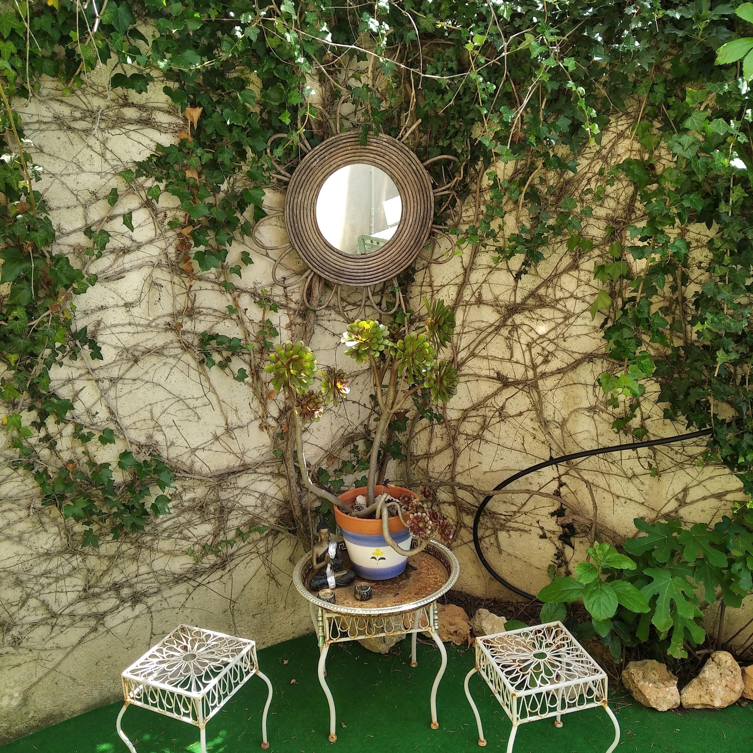 LOCATION BALARUC LE VIEUX LES JARDINS DE LA GARDIOLE COHEN JOSE (5)