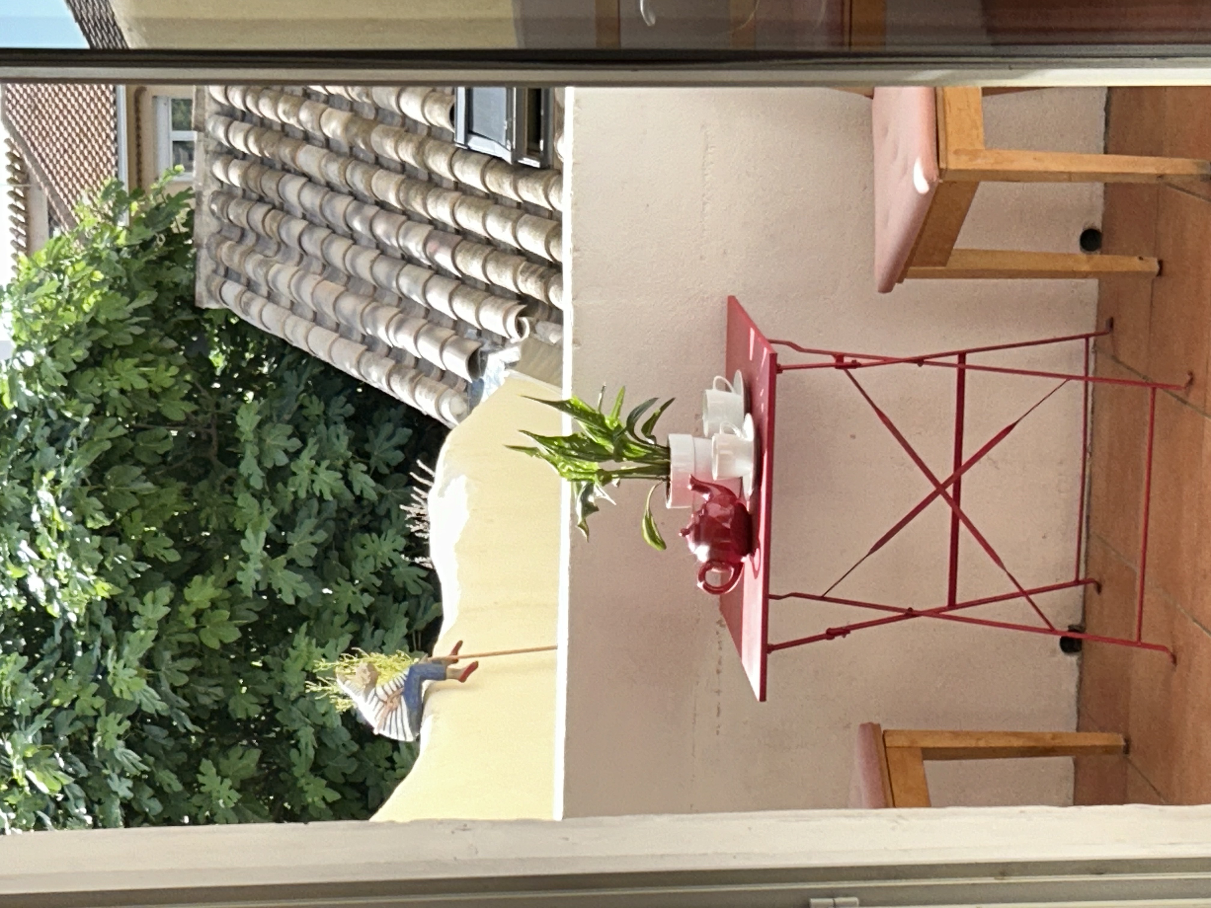 LOCATION MEZE 8 RUE DES SALINS SCHIPHORST-HUGENGHOLTZ BARBARA (9)