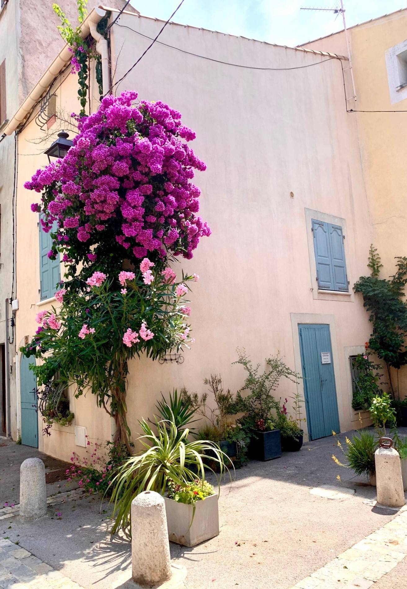 _lv_images__lot_0000000262_07_18528573