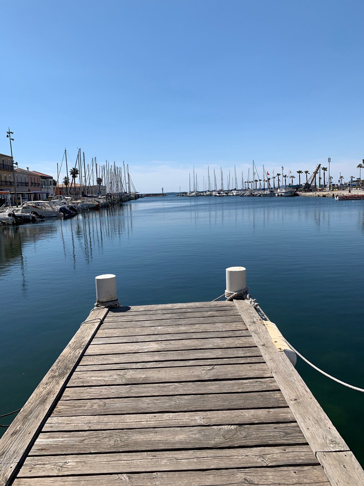 _lv_images__lot_0000000265_09_19209919