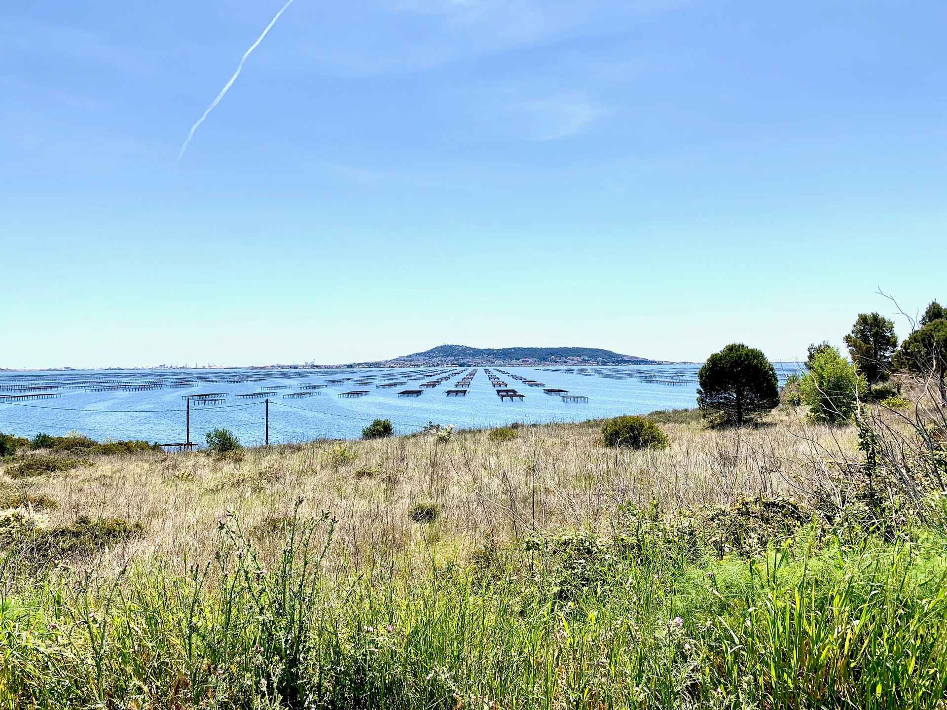 _lv_images__lot_0000000278_14_19184366