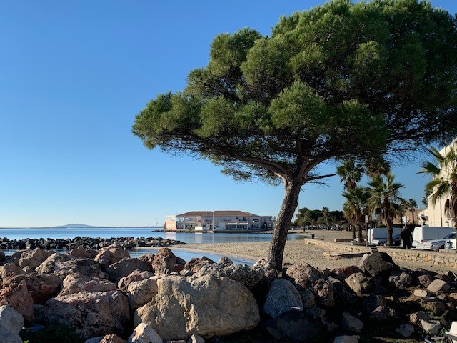 _lv_images__lot_0000000381_07_18207269