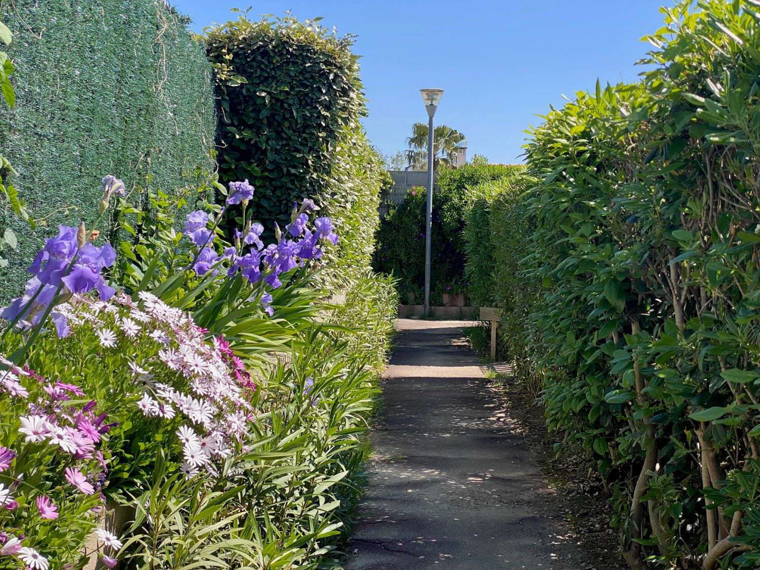 _lv_images__lot_0000000441_16_18528715