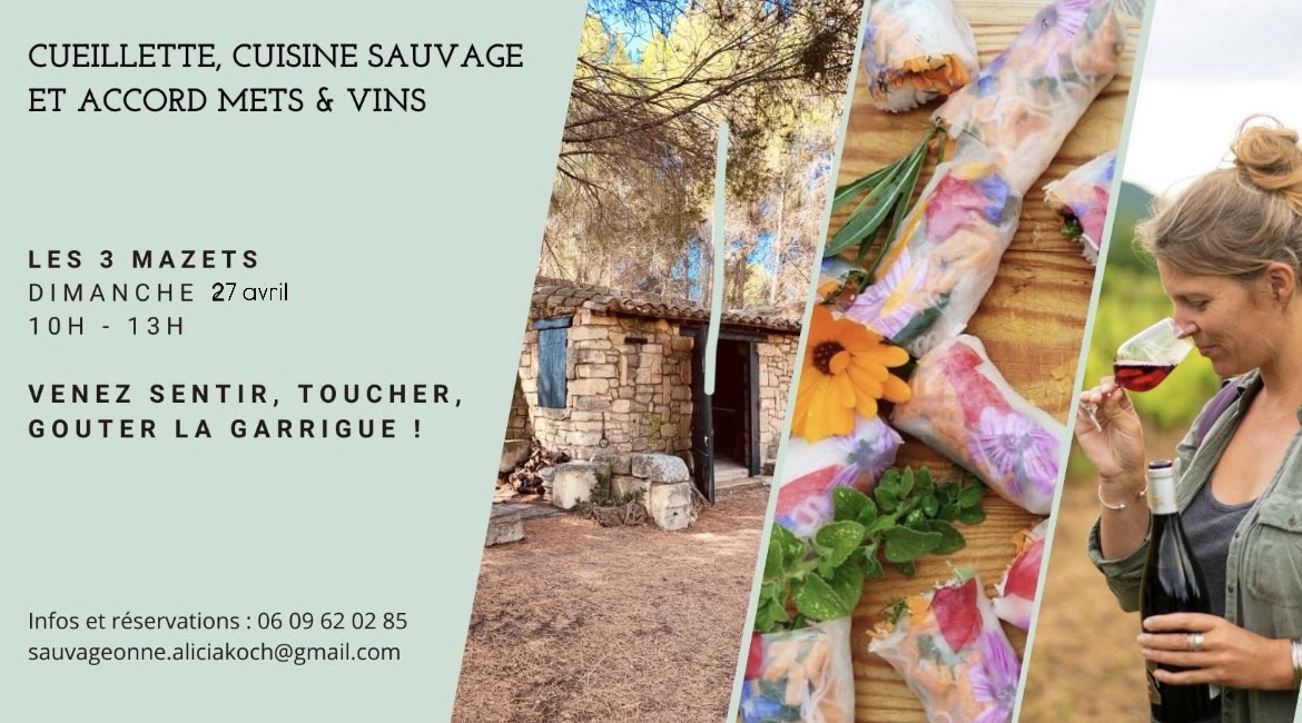 ATELIER : CUEILLETTE, CUISINE SAUVAGE ET ACCORDS METS ET VINS