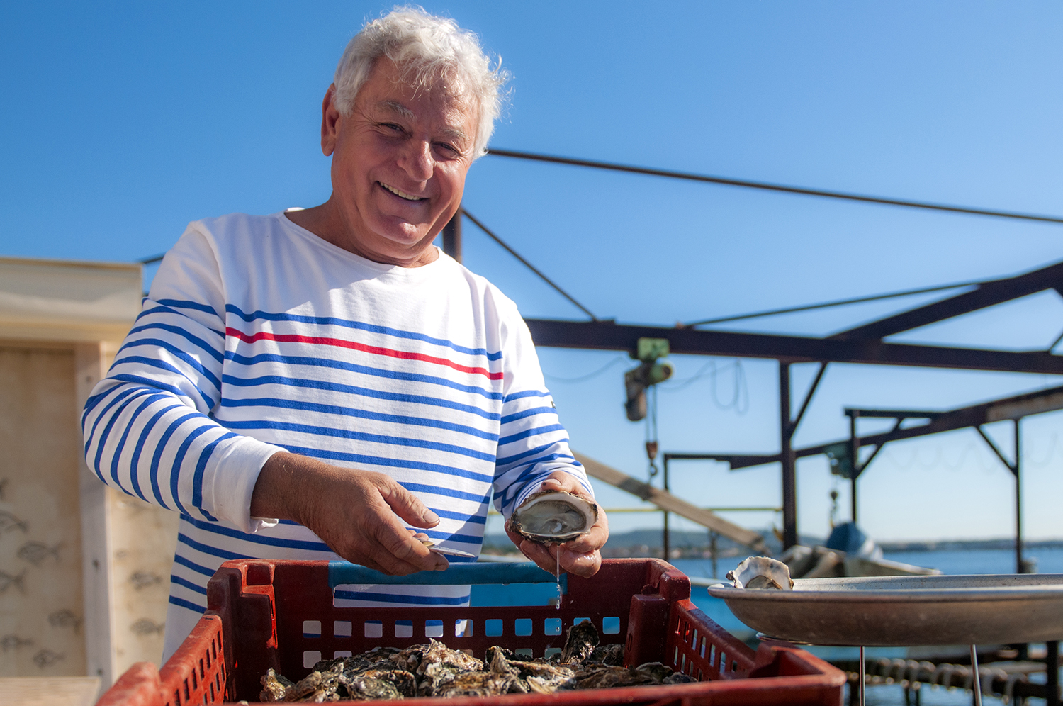 Huîtres et moules de Méditerranée - © Didier Cavalhes - NPS