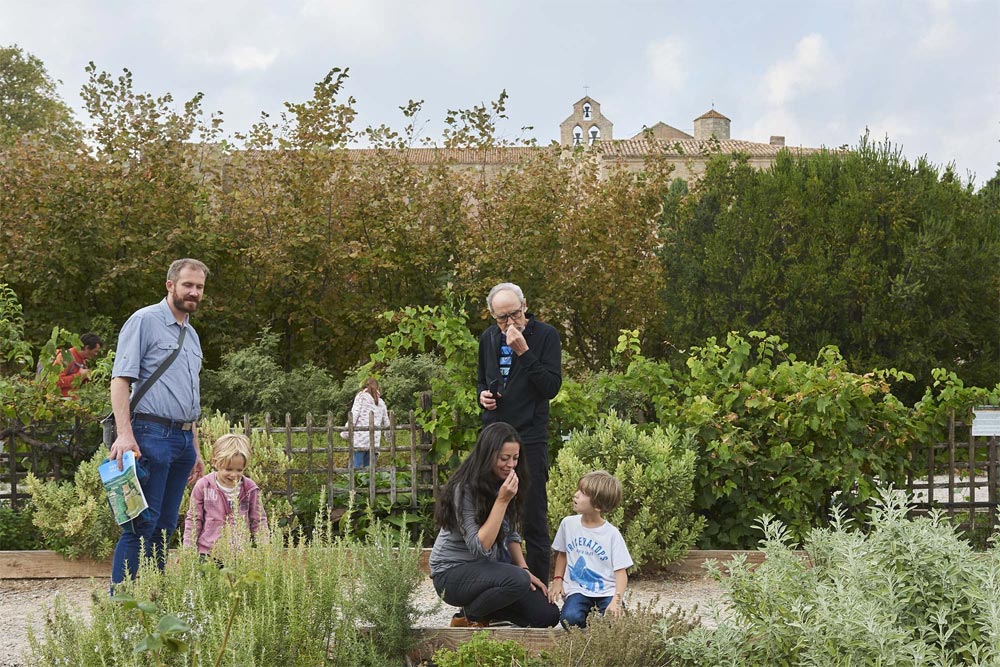  Jardin Abbaye de Valmagne - © C. Baras