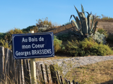 au-bois-de-mon-coeur-6484529-6561620-6845549