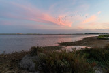 Salins By Night