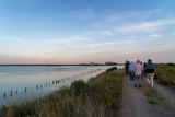 Salins By Night