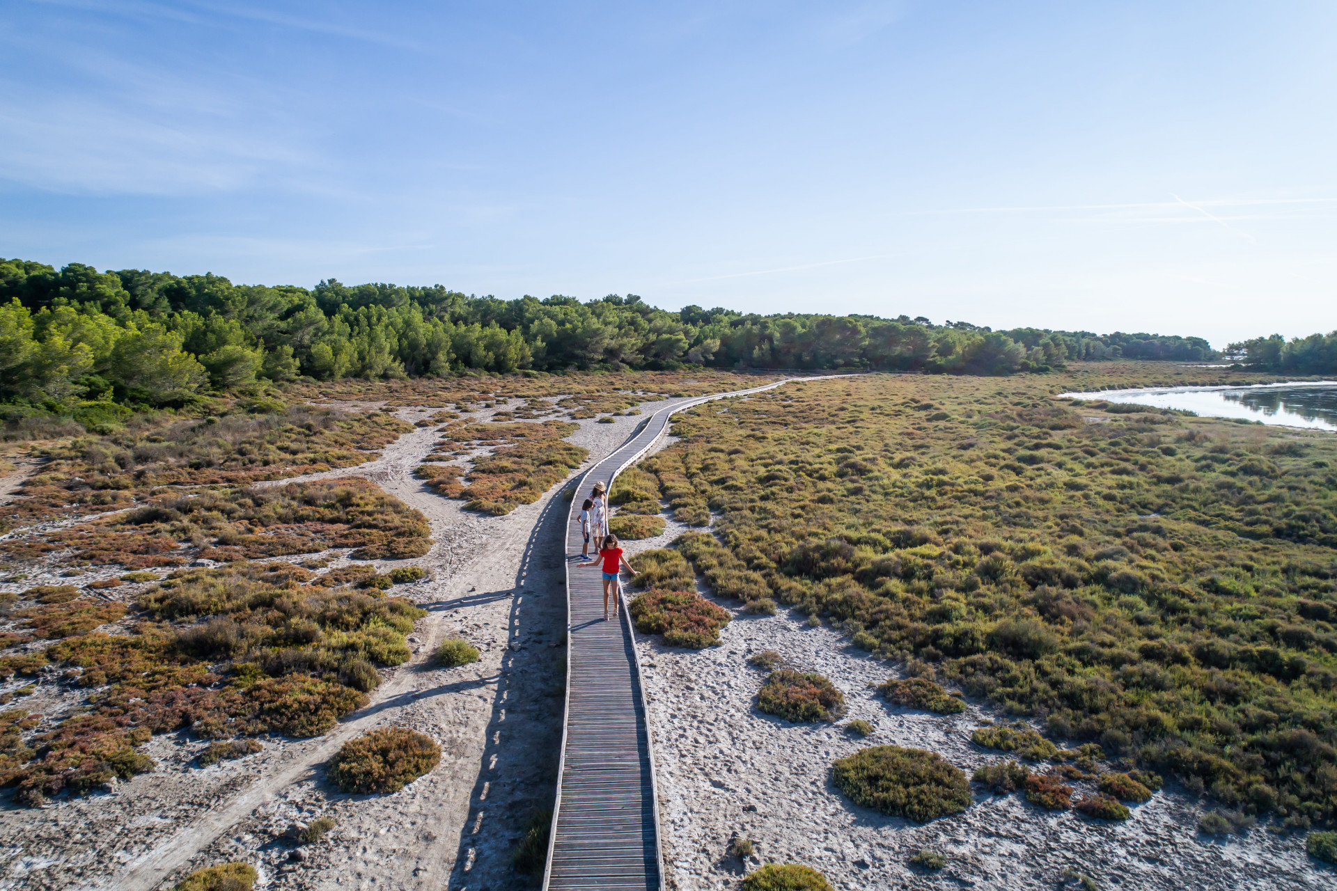 Le bois des Aresquiers