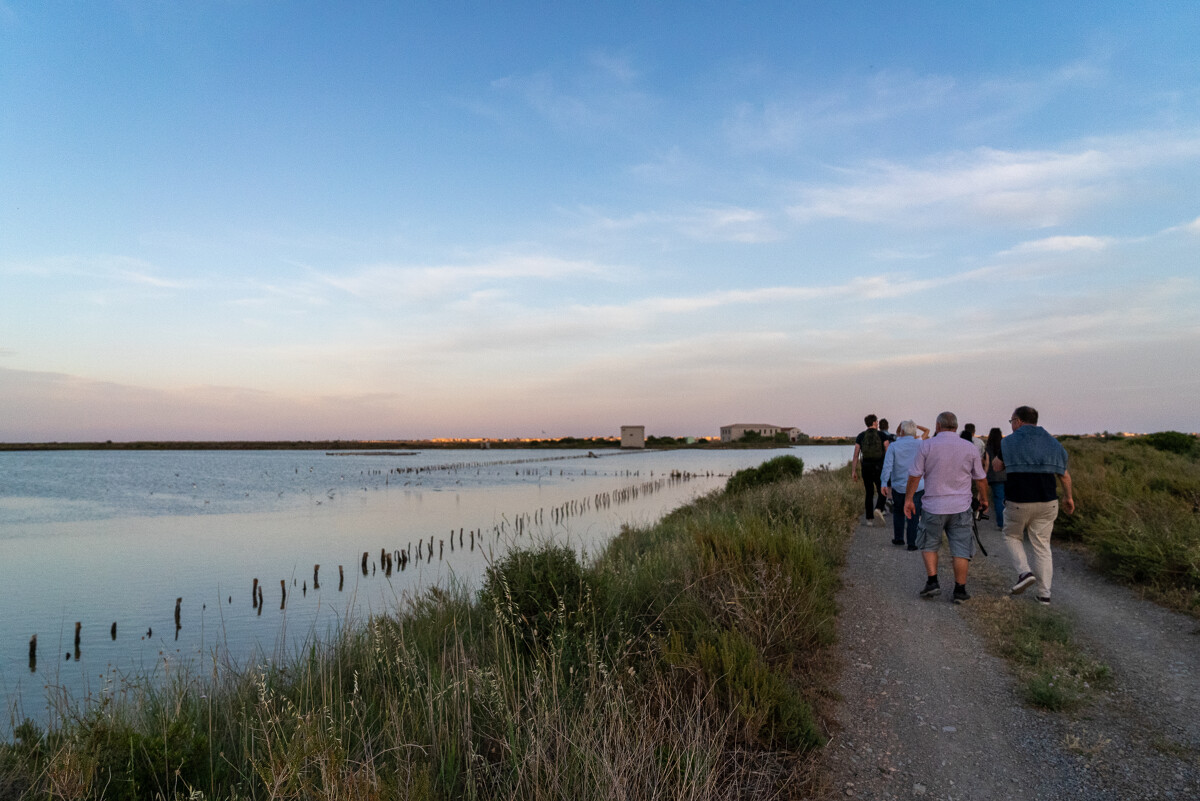 Salins By Night