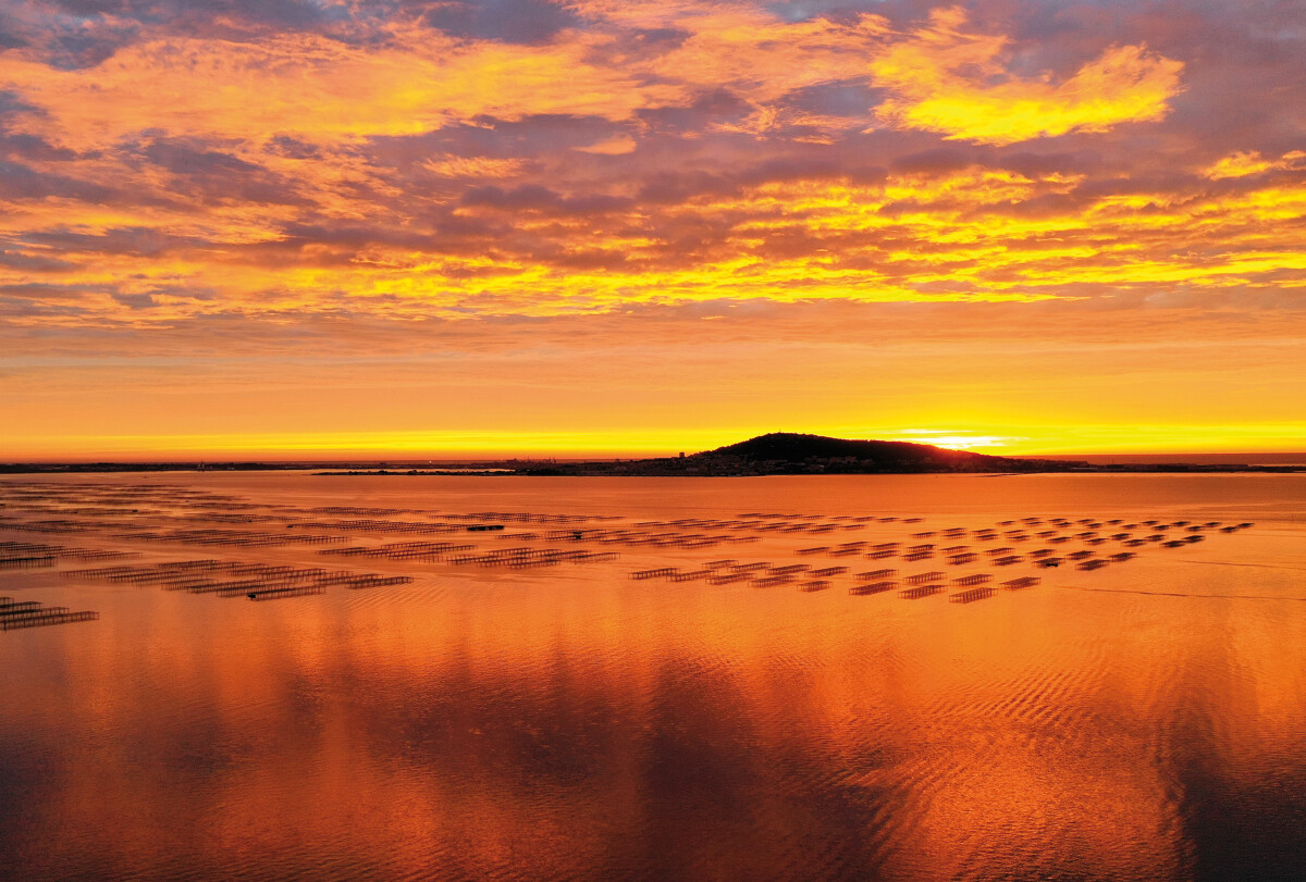 Top des activités à faire au coucher du soleil dans l'Archipel de Thau