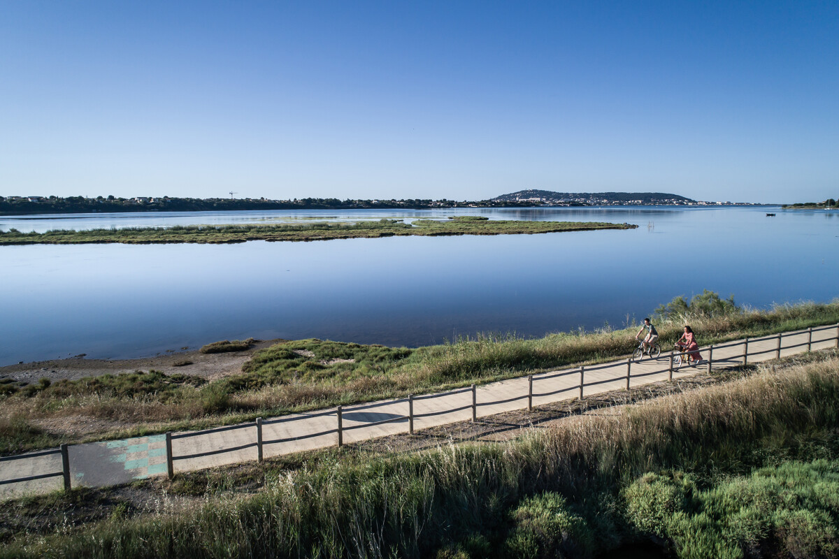 Vélo sur la voie verte