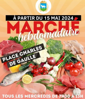 march-de-plein-air-de-loupian-13354212